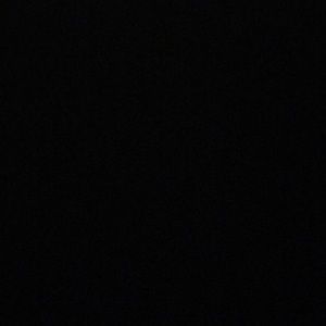 Meet your Posher, Rosie